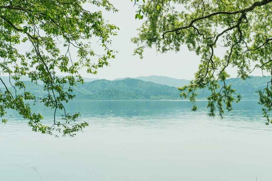 【夏】涼やかな海と緑