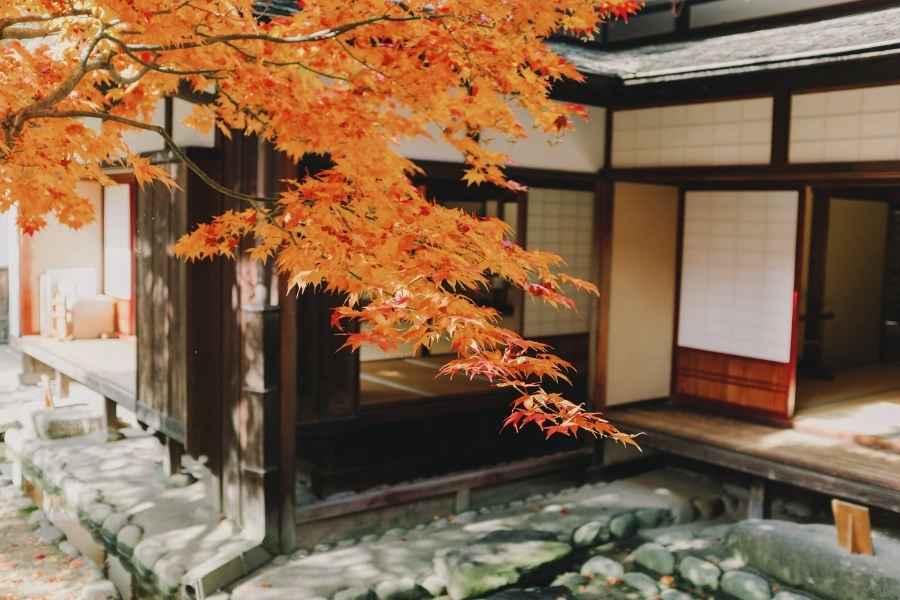 【秋】紅葉と和風の家