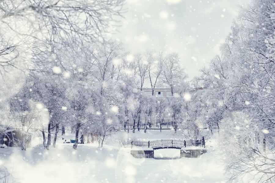 【冬】雪景色