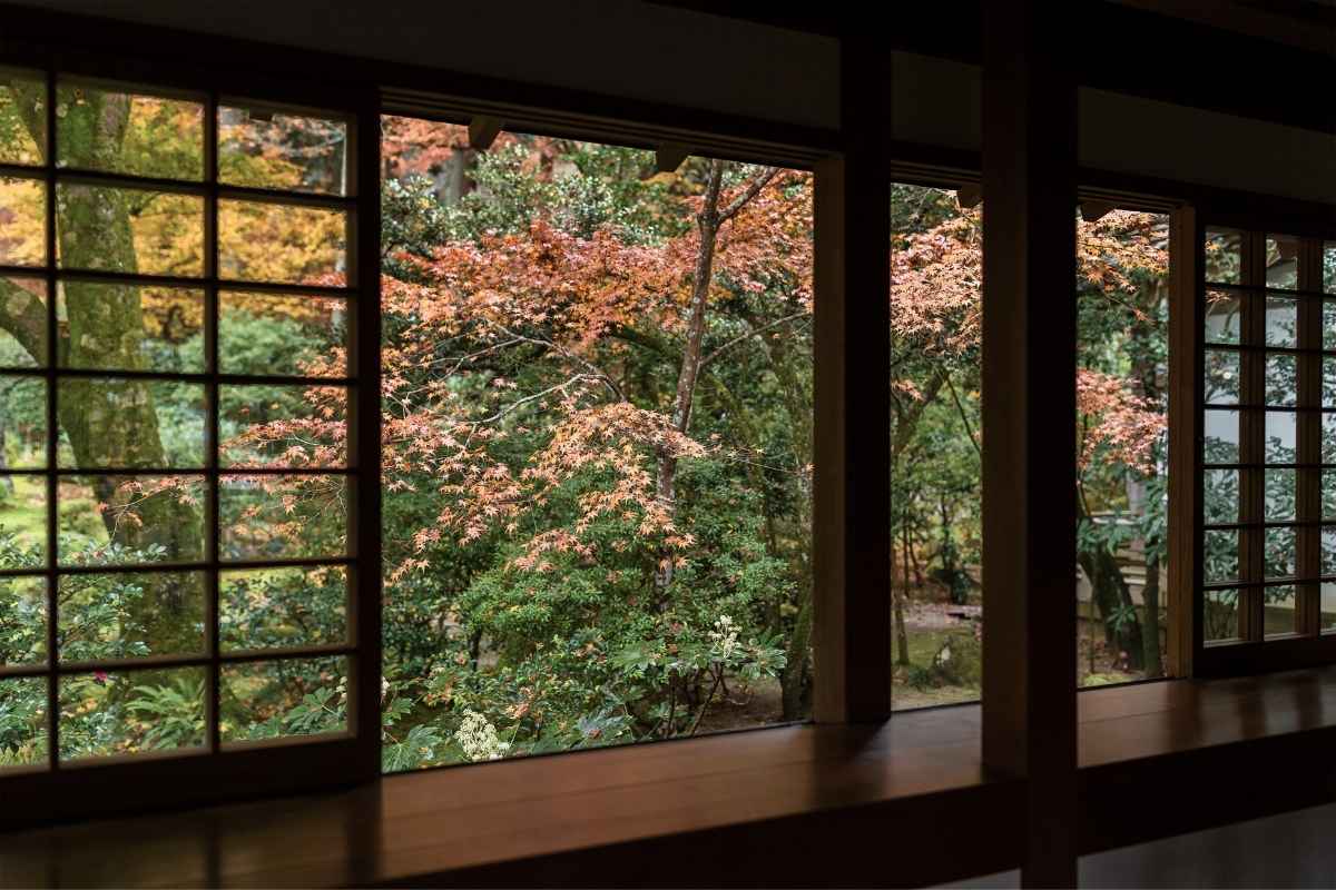 窓の外に紅葉が見える古民家