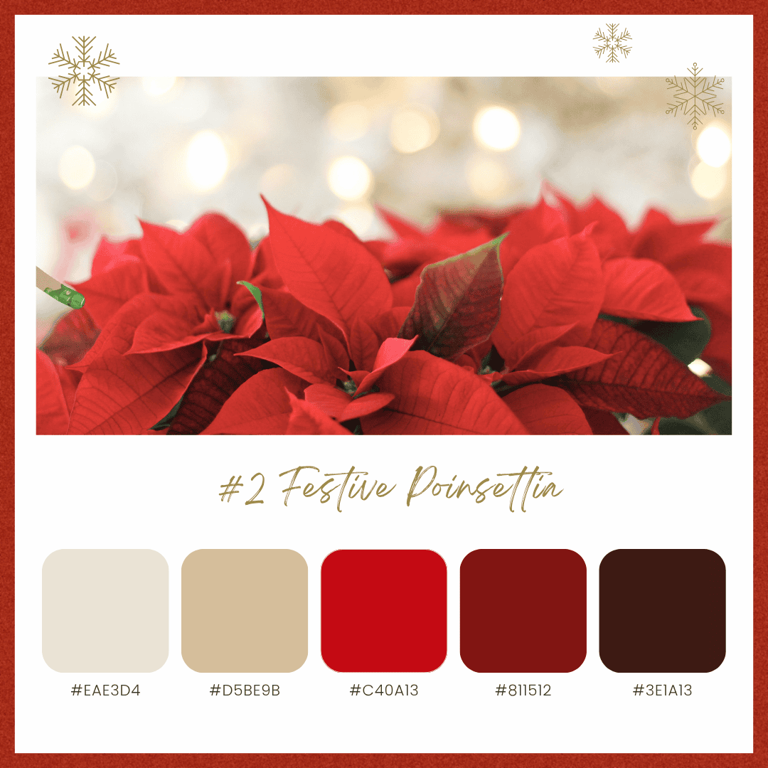 クリスマスカラーパレット2:フェスティブポインセチア