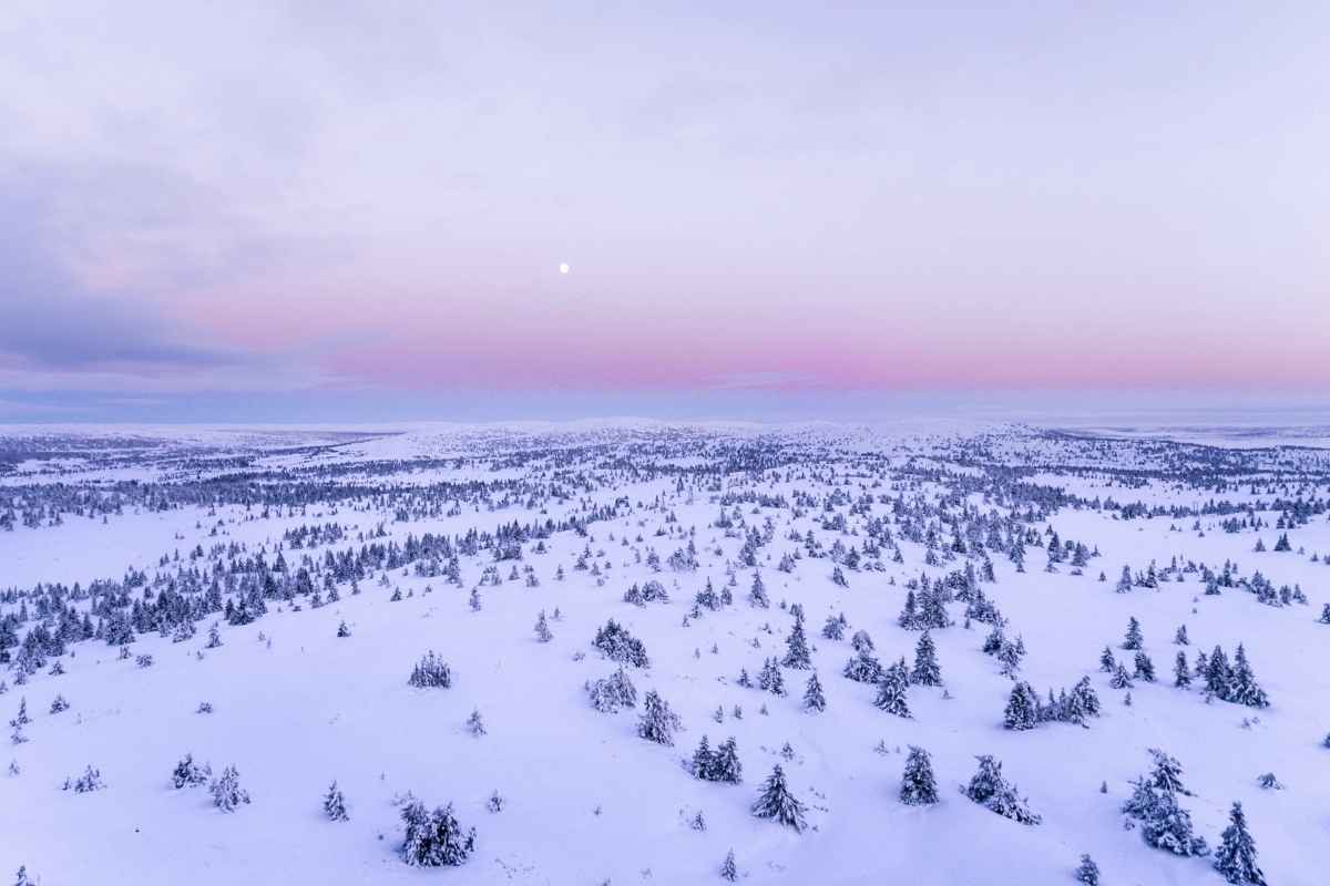紫に染まる冬の空イメージ