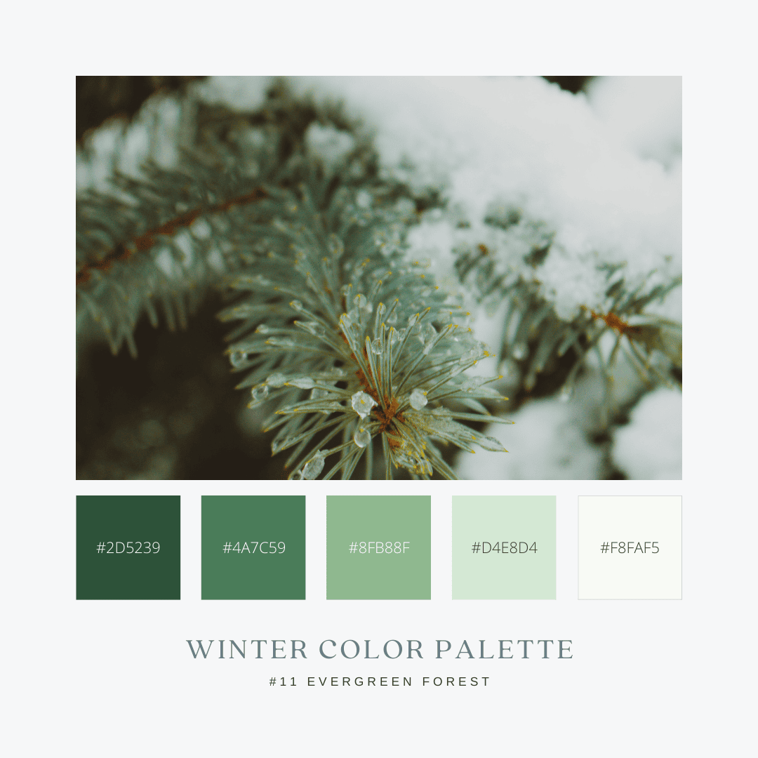 冬のカラーパレット11. Evergreen Forest / 常緑の森