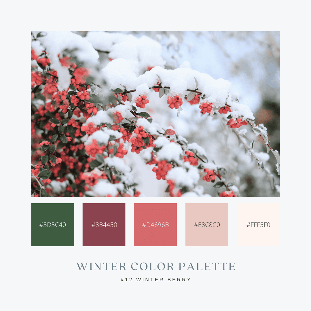 冬のカラーパレット12. Winter Berry / 冬の木の実