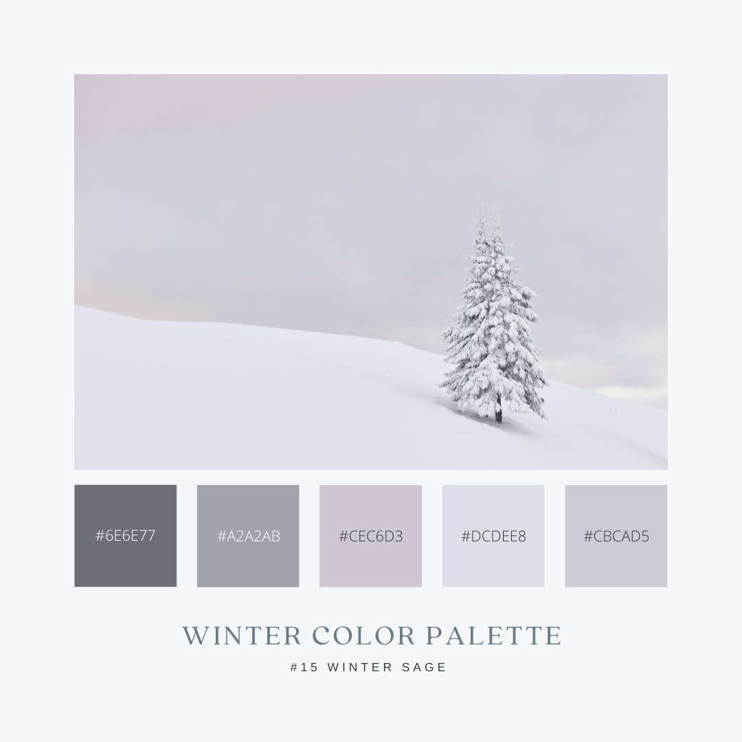 冬のカラーパレット15. Winter Sage / ウィンターセージ