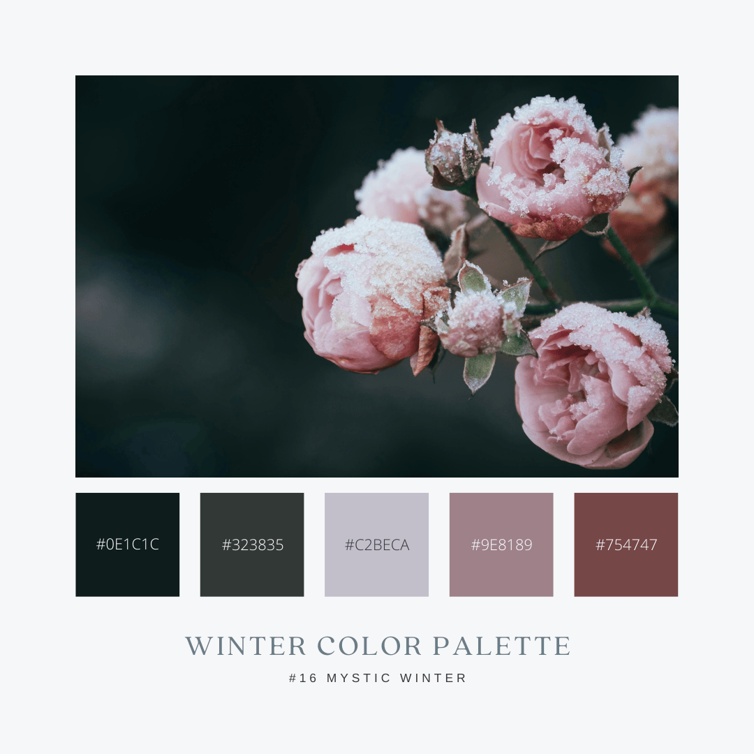 冬のカラーパレット16. Mystic Winter / 神秘的な冬
