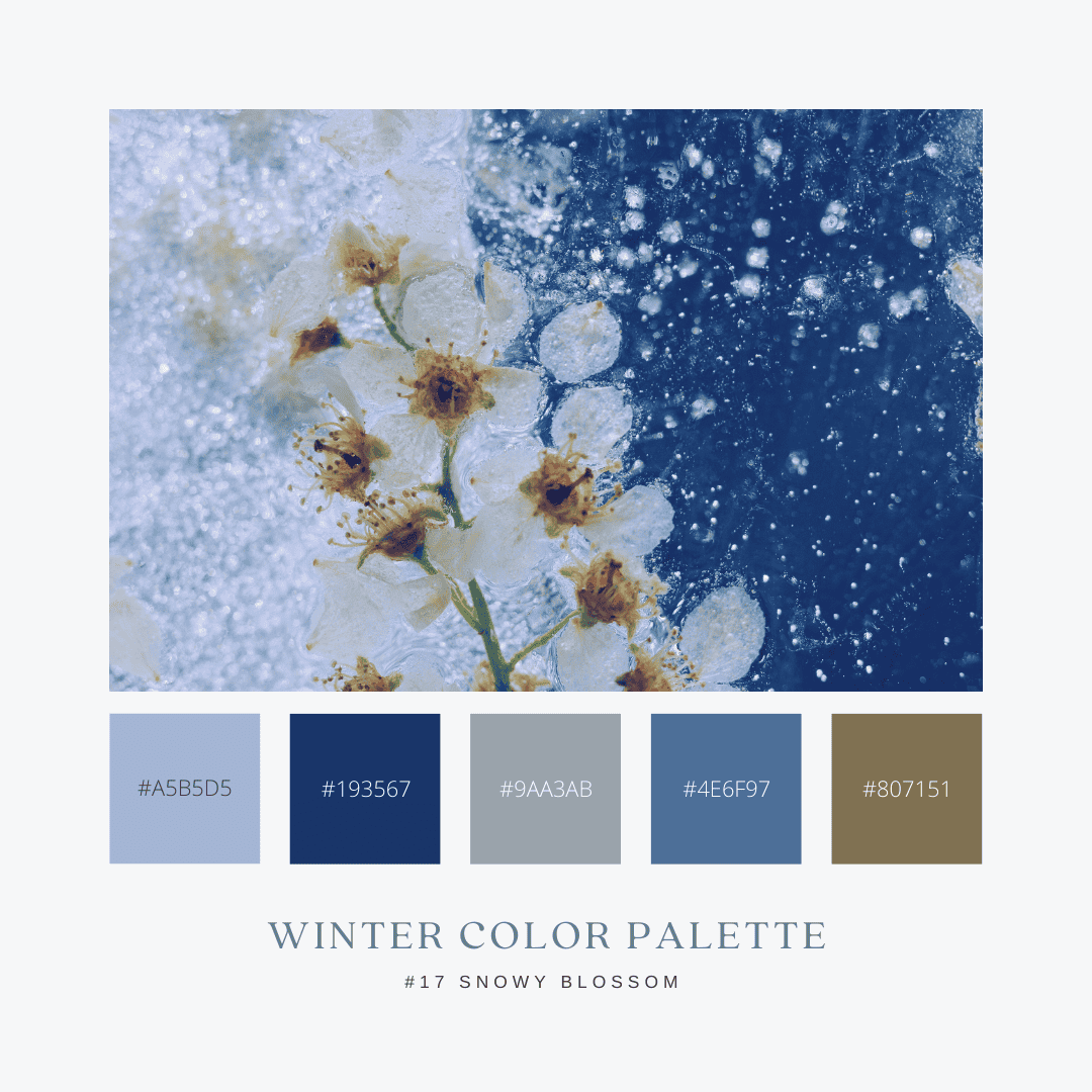 冬のカラーパレット17. Snowy Blossom / 雪の花
