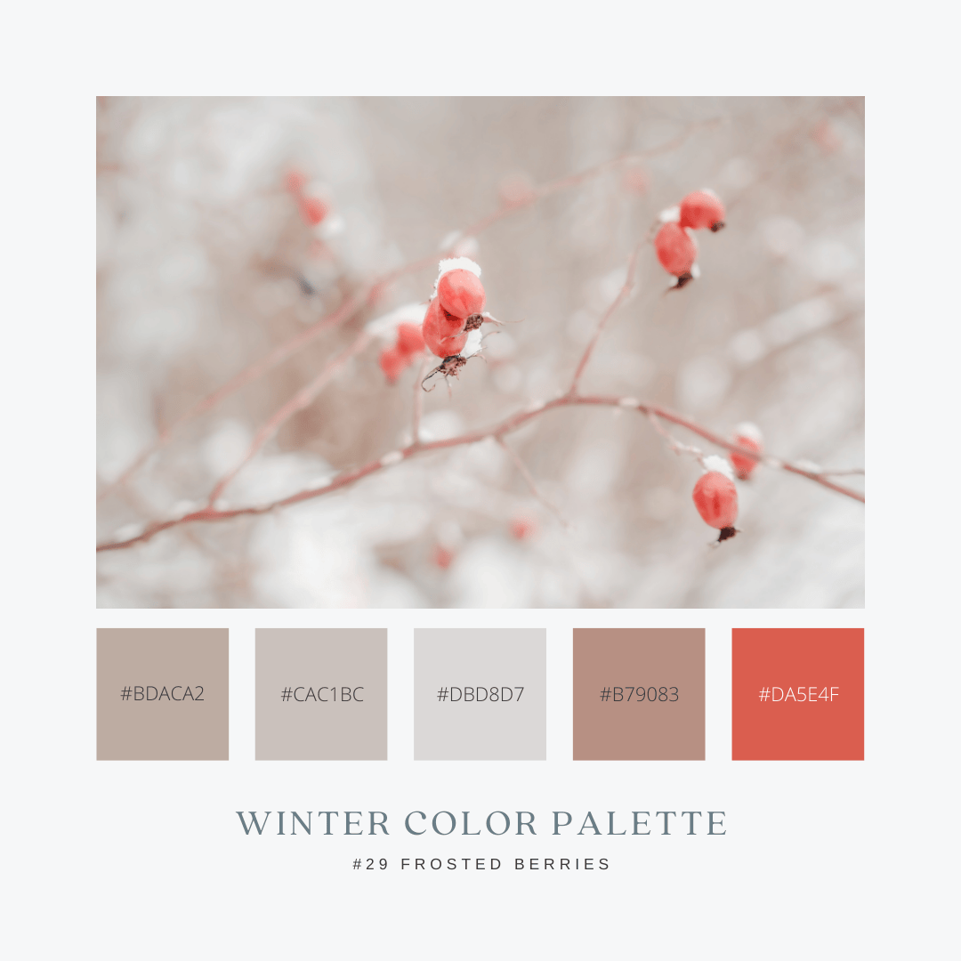 冬のカラーパレット29. Frosted Berries / 霜のベリー