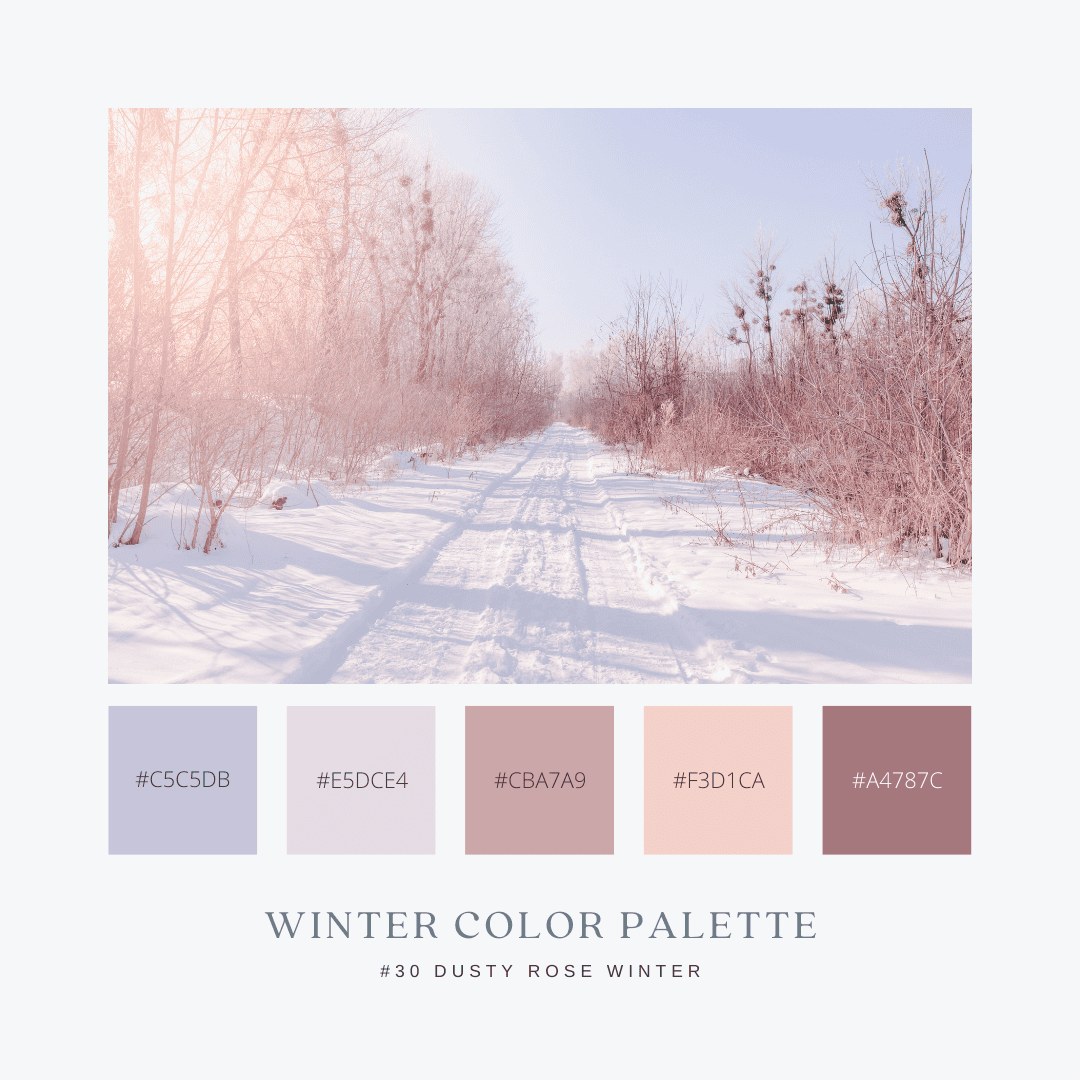冬のカラーパレット30. Dusty Rose Winter / ダスティローズウィンター